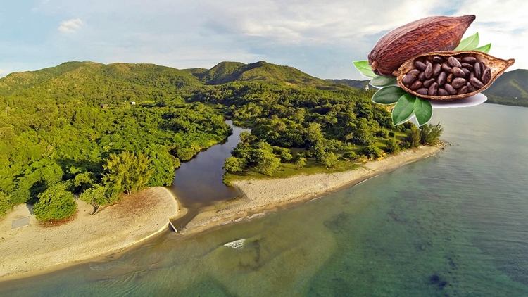 Soldier Beach o Playa del Soldado es el sitio donde por primera vez los españoles descendieron en la isla de Guanaja y donde se supone fue el primer encuentro con el Cacao Foto de Luis Aguero