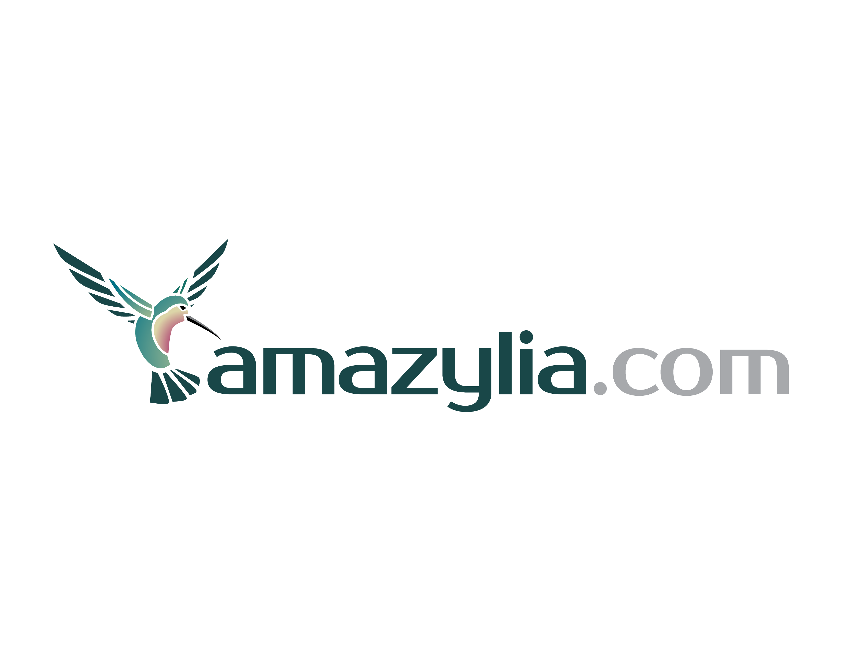 Amazylia_Logo-03