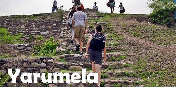 YARUMELA (1)