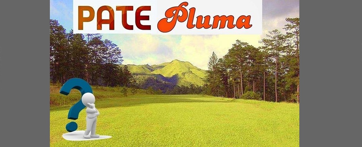 PATELARGA