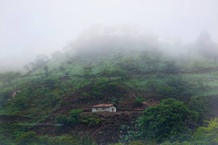 Occidente, de plano...-Foto de Dunia Osorio