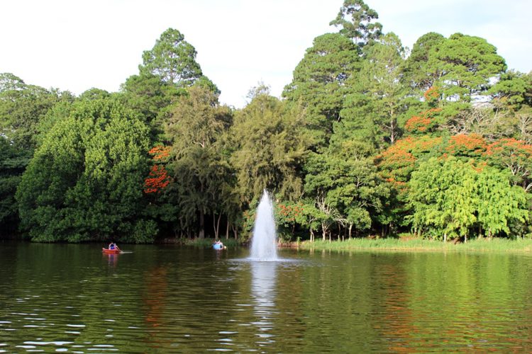 La Laguna de Santa Lucía