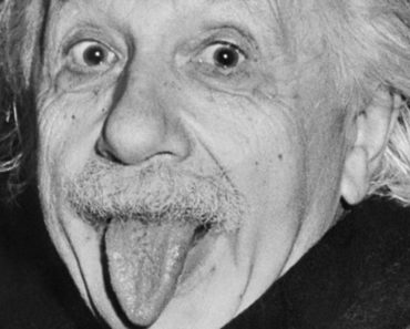 albert