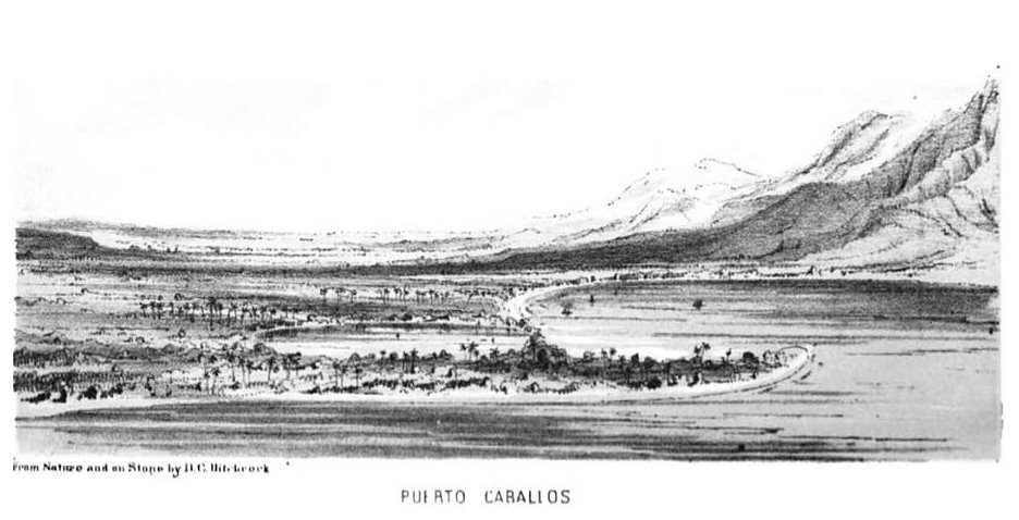 Puerto Caballos . grabado de D.C. Hitchcock