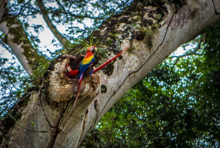 Su hogar será la Finca Santa Isabel