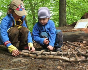 Niños en el bosque - Foto de Reevo