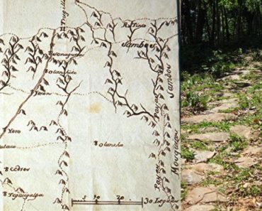 portada camino