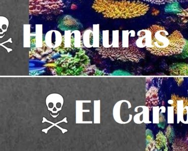 Diferencia entre los arrecifes vírgenes de Honduras y el resto del Caribe, muertos y vivos