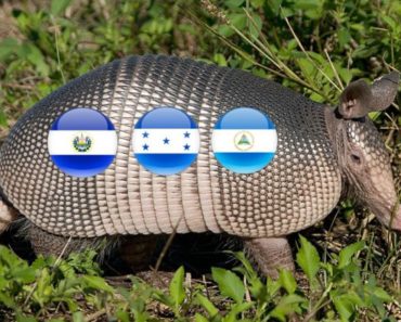 Pitero